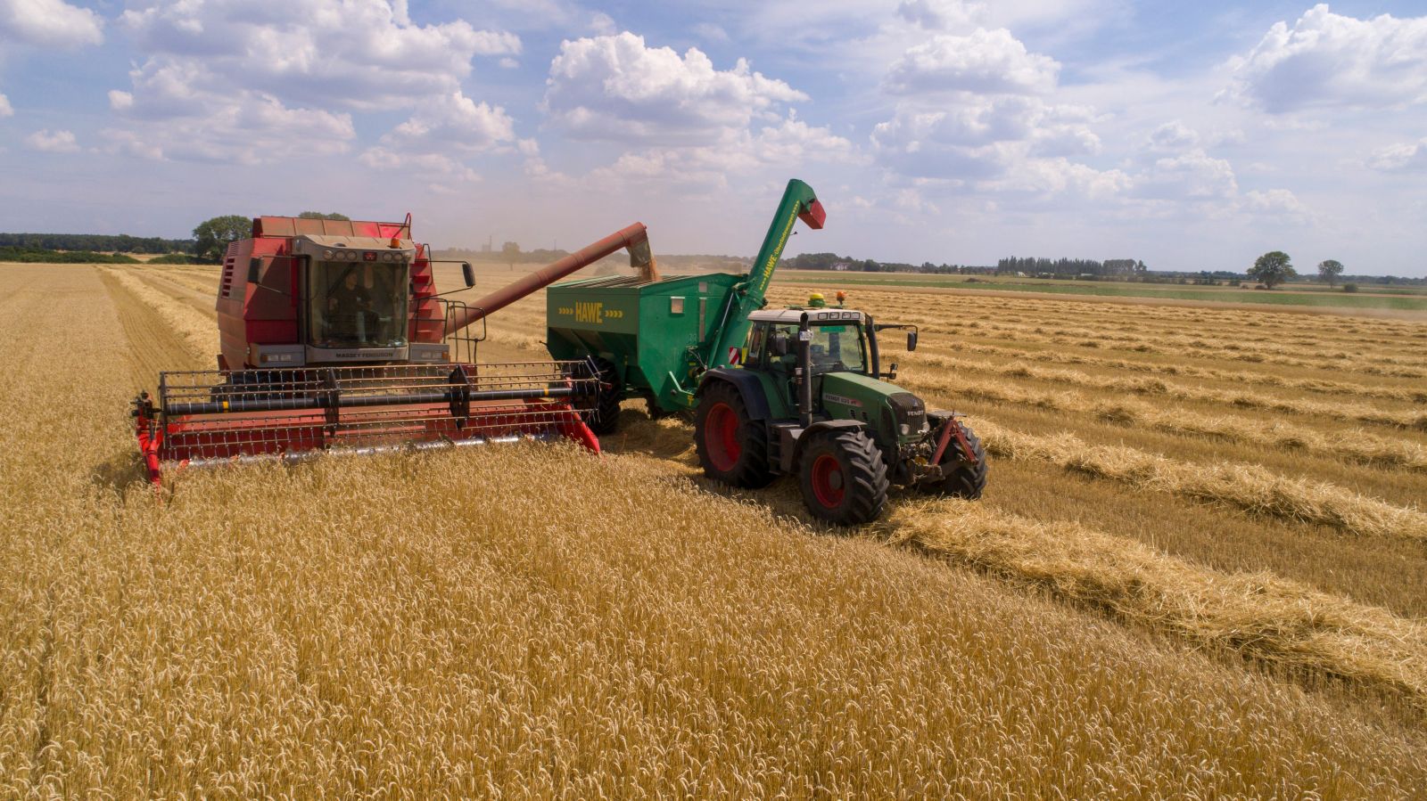 Wheat Harvest by Heiko Janowski via Unsplash